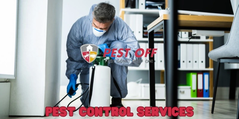 Mice Treatment in Karachi