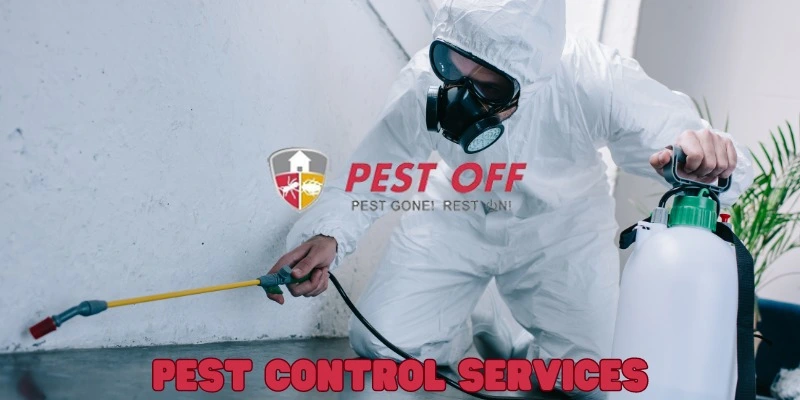 Fumigation Services