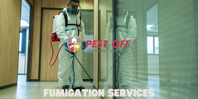 Fumigation Services