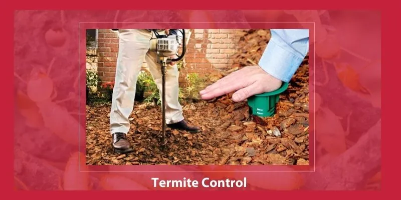 Termite Control Services