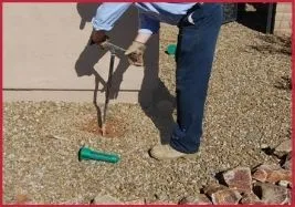 Termite Control Services